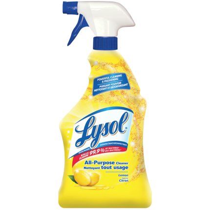 Lysol All Purpose Cleaner 650ML