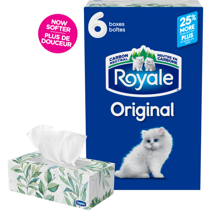 Original Facial Tissue, 6 Flat Boxes, 126 Tissues per box - Image 3
